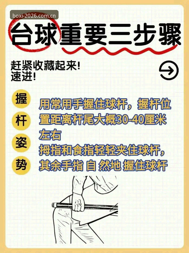 博喜体育平台使用教程：从入门到精通的实用技巧